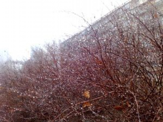 09022009300.jpg