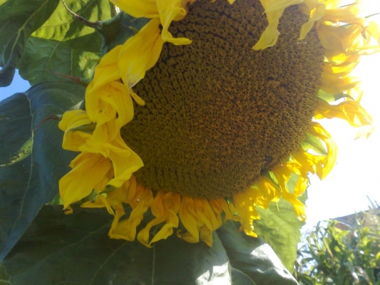 09082009589.jpg