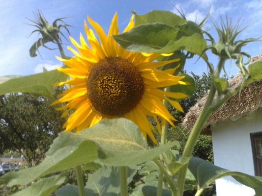 12072009552.jpg