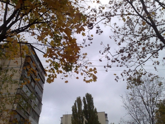 23102009840.jpg