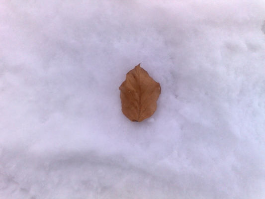 30012010925.jpg