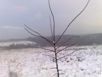 06012010907.jpg