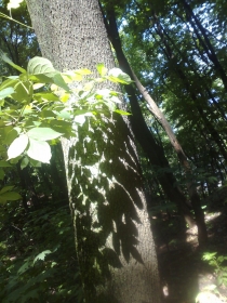 07062009517.jpg