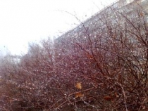09022009300.jpg
