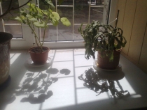 14052009476.jpg