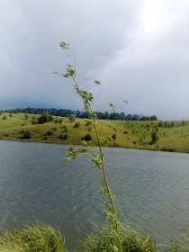 14062009527.jpg