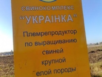 22102008281.jpg