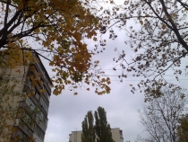 23102009840.jpg
