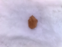 30012010925.jpg
