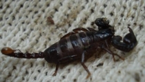 DSC043502.jpg