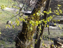 Kopiya_3_18042010962.jpg